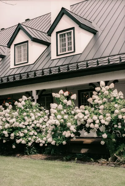 Venue exterior of a farmhouse wedding venue with hydrangea bushes, facing a white house facade with dormer windows and a metal roof.