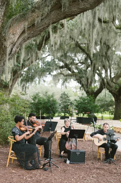 Wedding ceremony musicians with wedding string quartet playing violins, cello, and acoustic guitar under oak trees with spanish moss canopy