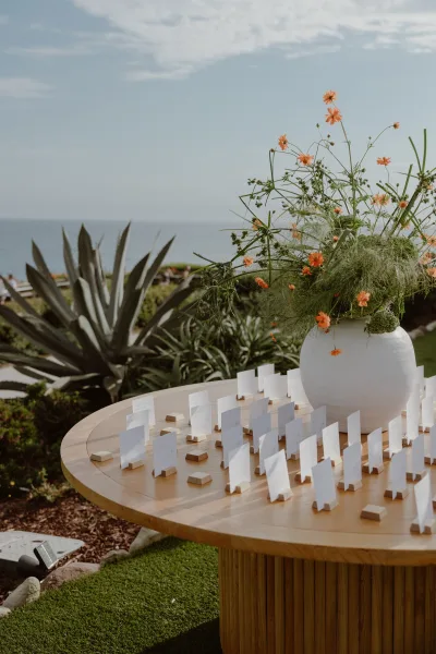 Escort card display on an escort card table with wooden card holders, set against an ocean horizon with agave and succulents on a grassy lawn.