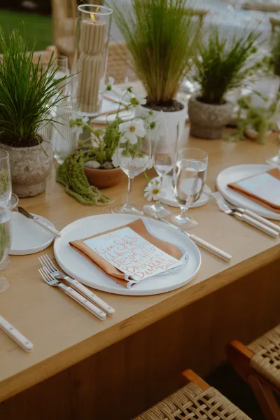 Reception tablescape on an outdoor reception table with potted greenery, set on a wood tabletop over a grass lawn.