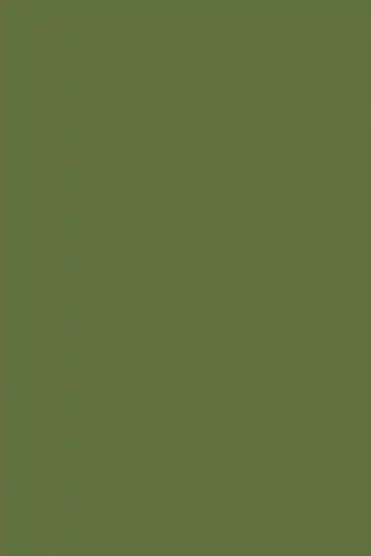 A Garden Wedding for Emily and Duncan