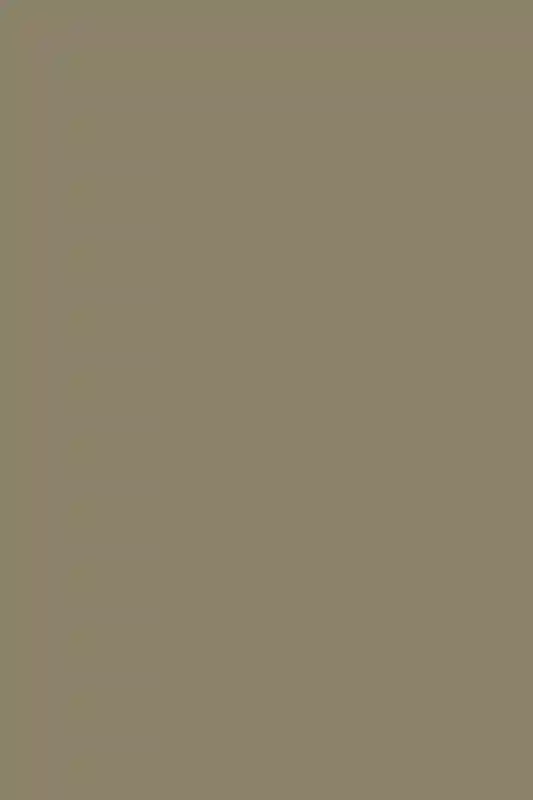 A Forest Wedding for Sydney and Samson